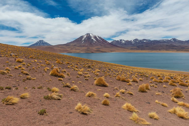 istock Miscanti Lagoon, Atacama Desert, Chile 1322604452