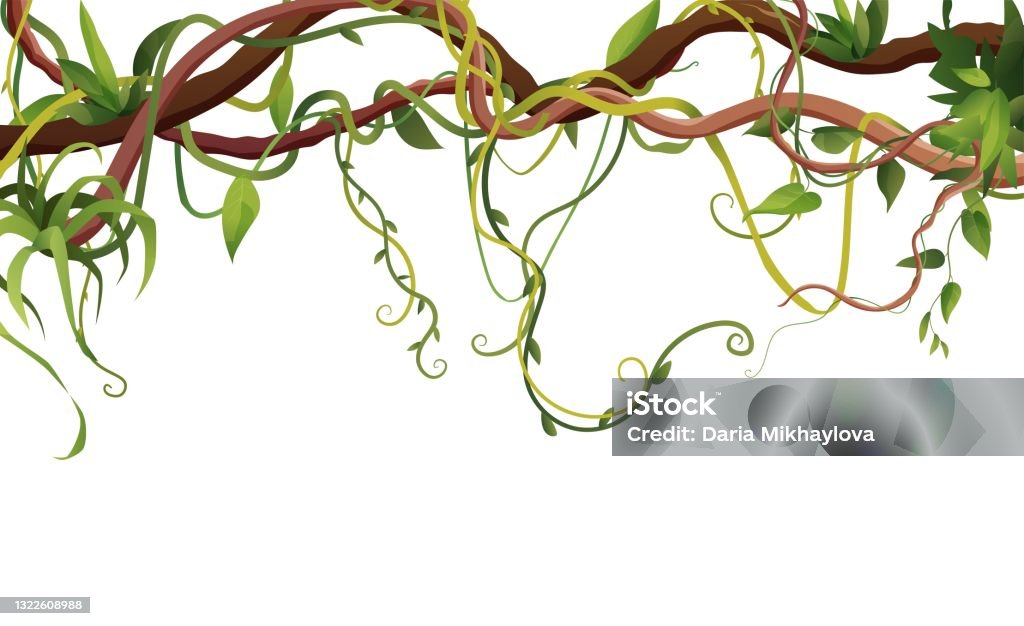Liana or vine winding branches with tropic leaves background. Jungle tropical climbing plants. Cartoon vector illustration. Liana stock vector
