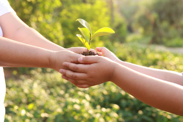 istock Concept of tree planting campaign for environment and social responsibility 1322612492