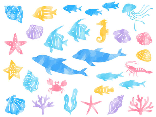Watercolor style illustration set of sea creatures Watercolor style illustration set of sea creatures (dolphin, tropical fish, shells, starfish, coral) aquatic mammal stock illustrations