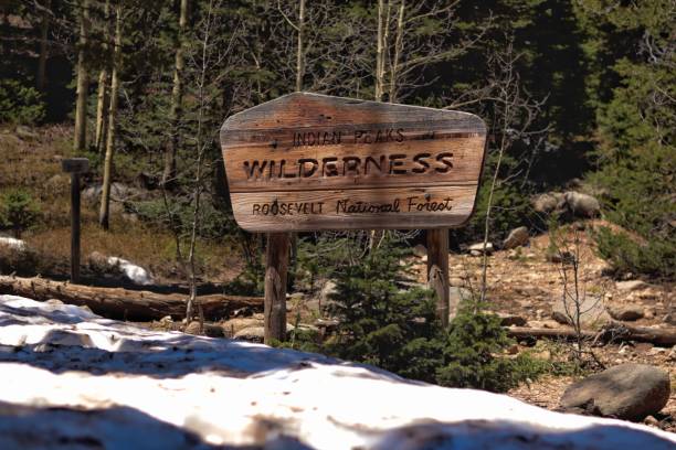 National Forest Sign