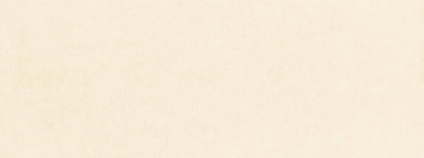 istock White natural paper texture banner 1322615164