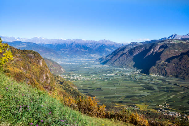 Autumn panorama from Merano and environs with a view from Perdonig over the vineyards and apple orchards in South Tyrol.