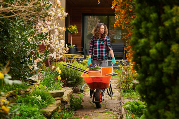 day in the garden woman taking her tools down the garden gardening stock pictures, royalty-free photos & images