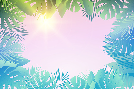 Summer tropical  leaf's frame with sun, palm leaves  background with place for your text.   
Vector illustration.