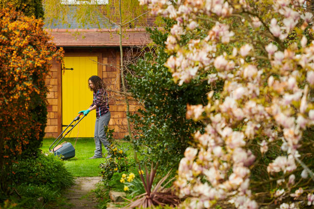 istock woman mowing her lawn 1322617063