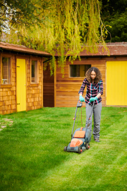 istock woman mowing her lawn 1322617109