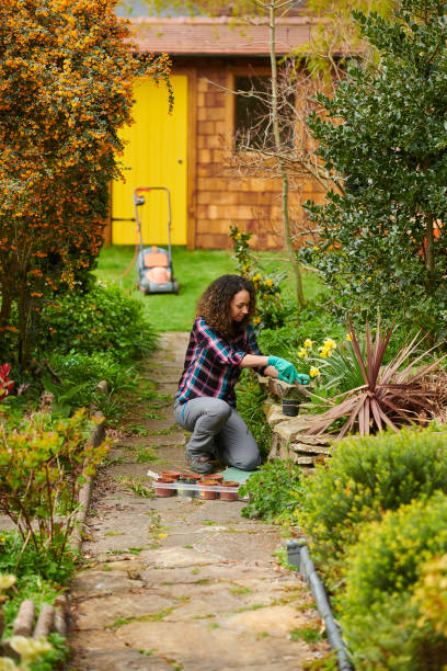 istock planting the borders 1322617288