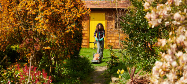 istock woman mowing her lawn 1322617373