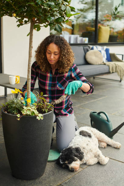 istock planting up the patio 1322618511