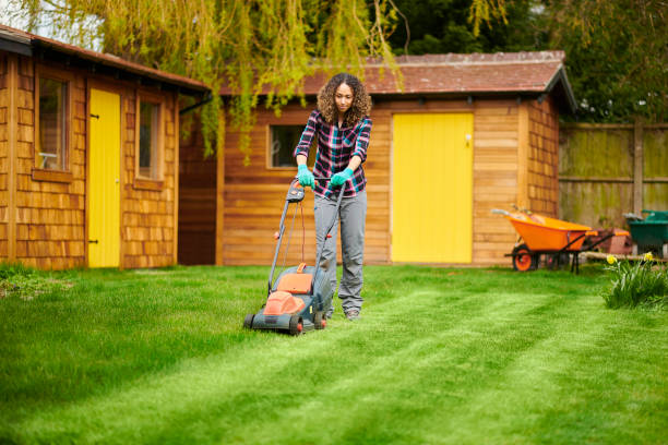 istock woman mowing her lawn 1322618635