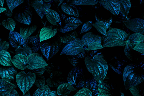 istock Full Frame of green Leaves Texture Background. 1322621584