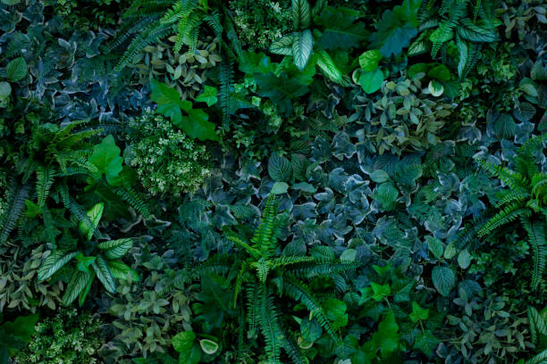 istock Full Frame of green Leaves Texture Background. 1322621671