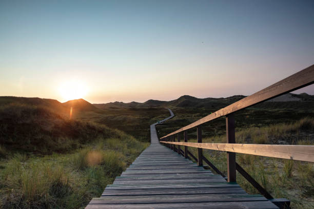 istock Low angle view of wooden boardwalk with railing leading through landscape. 1322625090