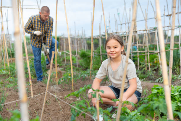 istock Girl working with man on backyard garden 1322625128