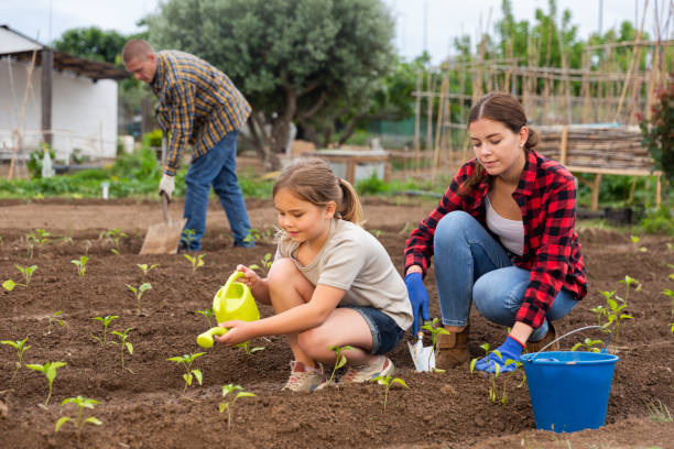 istock Friendly family working together on backyard garden 1322625896