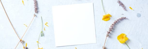 istock Spring background panorama with flowers and a square card, with a place for text 1322626069
