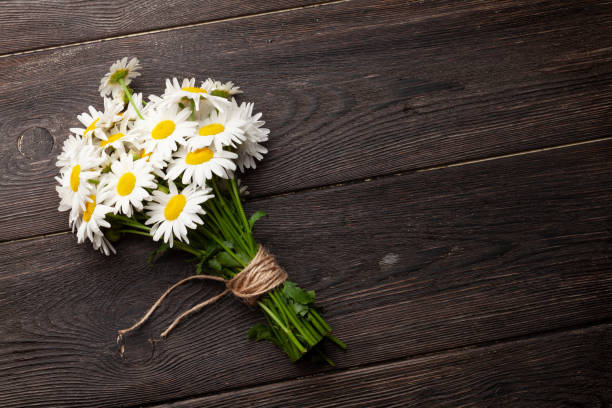 istock Garden camomile flowers bouquet 1322629751