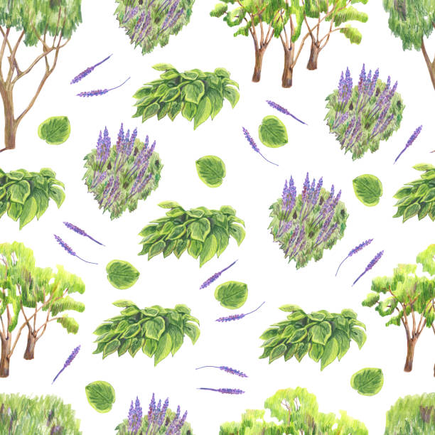 Seamless pattern of foliage and massive of flowers and trees cut out on white background made in the technique of colored pencils. Hand drawn. Seamless pattern of foliage and massive of flowers and trees cut out on white background. Rustic mood. Colored pencil technique. Hand drawn. For banner, invitation, greeting card, label, poster hosta plants pics stock illustrations