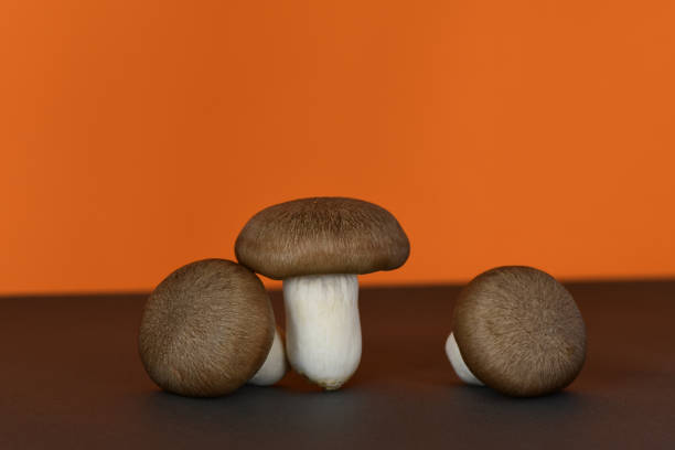 istock Shimeji mushrooms on orange background. 1322630991