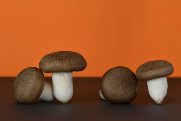 istock Shimeji mushrooms on orange background. 1322630999