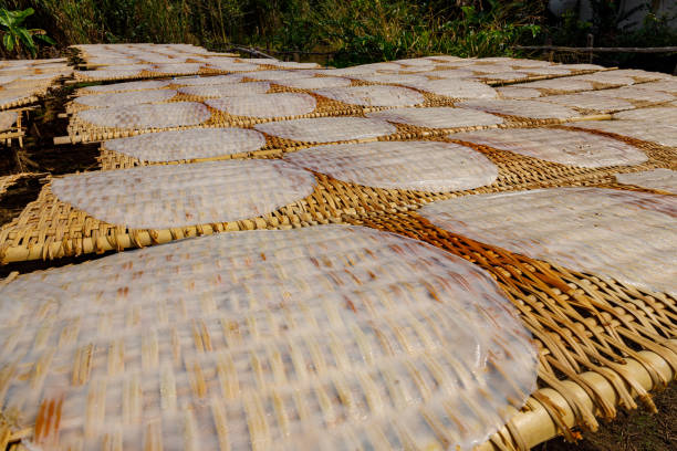 Rice paper production in Vietnam stock photo
