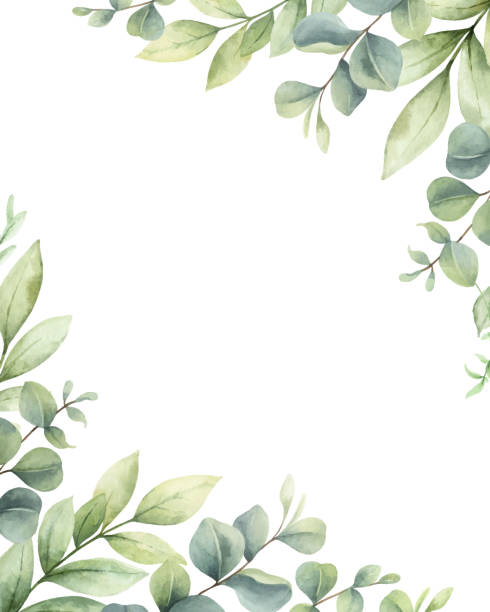 istock Watercolor vector card of green branches and leaves isolated on a white background. Flower hand painted illustration for greeting cards, wedding invitations, banner with space for text and more. 1322637101