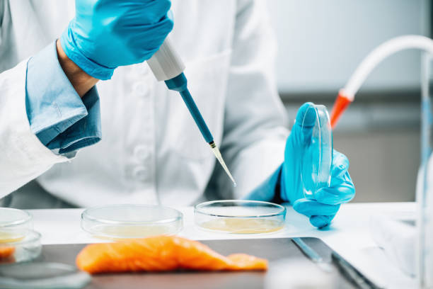 istock Food Quality Management - Microbiologist Testing Salmon Fish Sample 1322639359