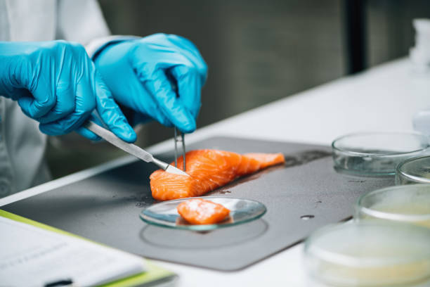Free picture: salmon, alevin, laboratory