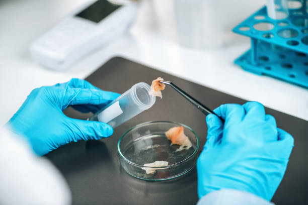 istock Food Safety And Quality Control - Testing Of Sea Fish 1322639385