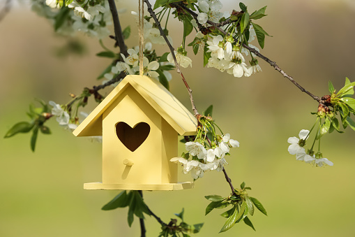 Yellow bird house with heart shaped hole hanging from tree branch outdoors