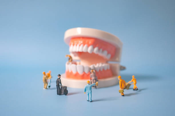 istock miniature workers clean and correct the tooth model on a blue background. Dental examination concept.Regular oral health is vital to oral health. 1322640995