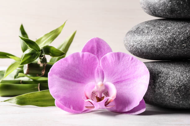 kamienie spa, bambus i piękny kwiat orchidei na białym stole, zbliżenie - flower bamboo white scented zdjęcia i obrazy z banku zdjęć