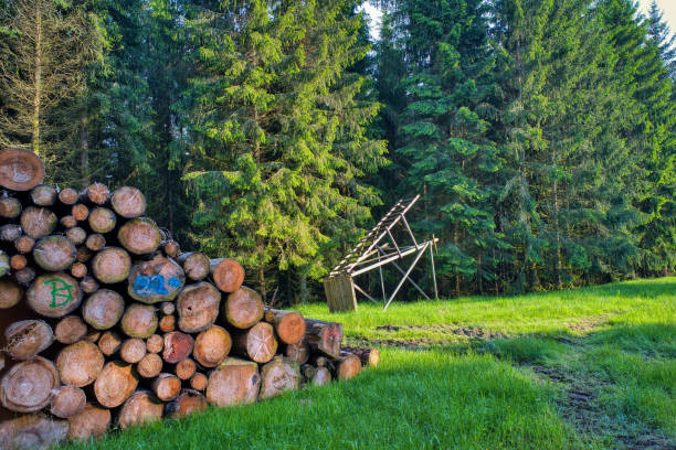 on the hammer wall near Oelze in Thuringia