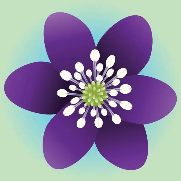 Vector illustration of Purple flower