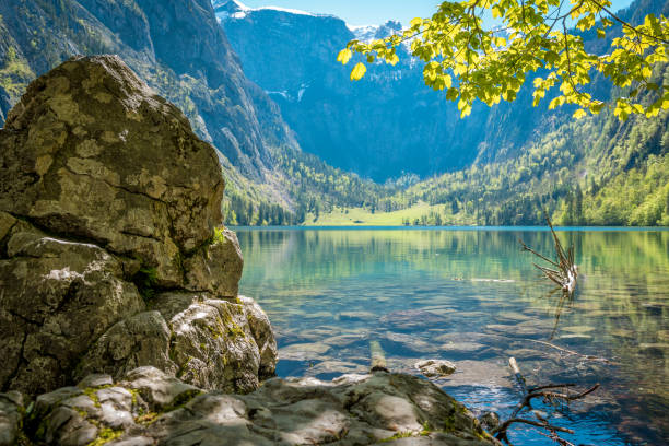 lake obersee in berchtesgadener land - konigsee stock-fotos und bilder