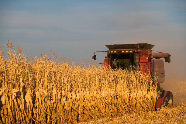 istock The harvester works in the field 1322645739