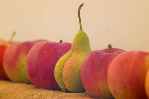 istock line apples in a row and silhouette of outstanding different pear 1322645875