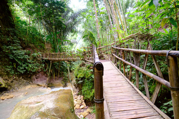 Bamboo bridge in the forest In some condition bamboo can be used to make simple bridge to help people cross the river bamboo bridge stock pictures, royalty-free photos & images