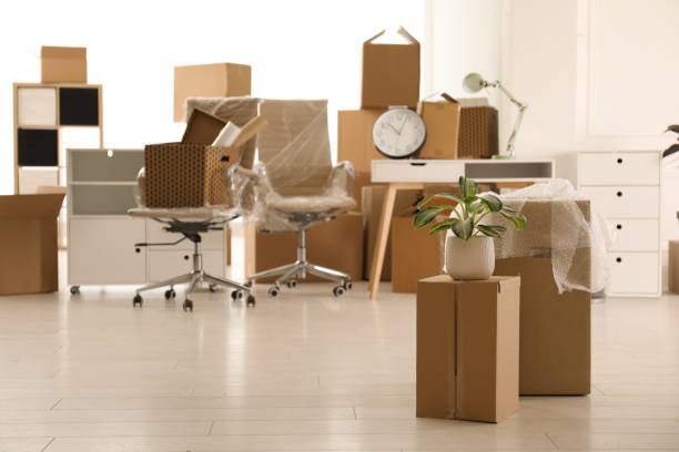istock Cardboard boxes with houseplant in new office, space for text. Moving day 1322648285