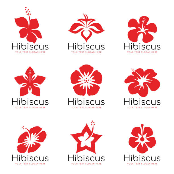 ilustrações de stock, clip art, desenhos animados e ícones de red hibiscus flower sign vector set design - hibiscus