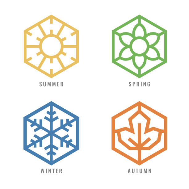 bildbanksillustrationer, clip art samt tecknat material och ikoner med fyra säsong hexagon ikon med solskylt för sommarblomma tecken för vår snö tecken för vintern och lönnlöv för hösten vektor design - fyra årstider