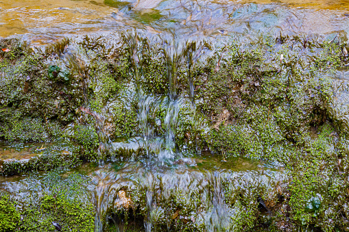 Water running down a cascade covered with moss