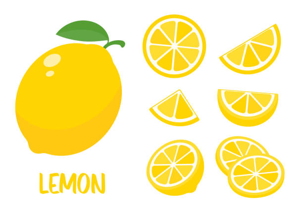 Sour yellow lemons. High vitamin C lemons are cut into slices for summer lemonade. Sour yellow lemons. High vitamin C lemons are cut into slices for summer lemonade. citron stock illustrations