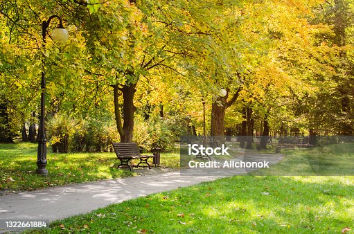 istock City park in autumn. Autumn Landscape. Beautiful autumn park at sunny weather. 1322661884