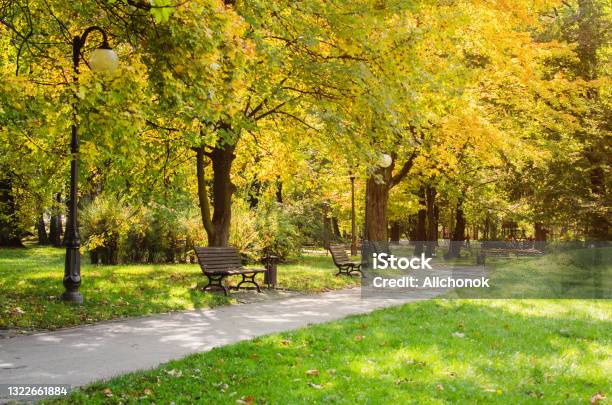 City Park In Autumn Autumn Landscape Beautiful Autumn Park At Sunny Weather Stock Photo - Download Image Now