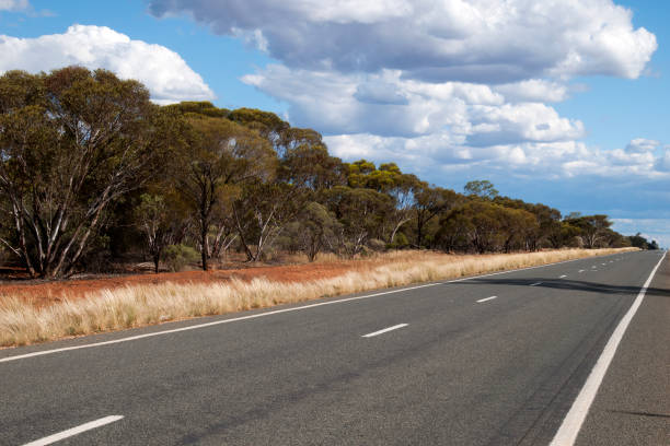 istock View with dry grass and trees along flat asphalt rural road with on a sunny day 1322665256