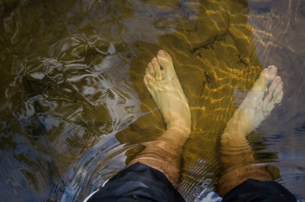 legs in the water. crossing the river barefoot - wading river human foot water imagens e fotografias de stock