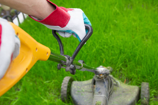 istock a man mows the grass  hand with a trimmer in garden 1322668359
