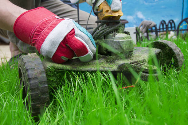 istock a man mows the grass  hand with a trimmer in garden 1322669094